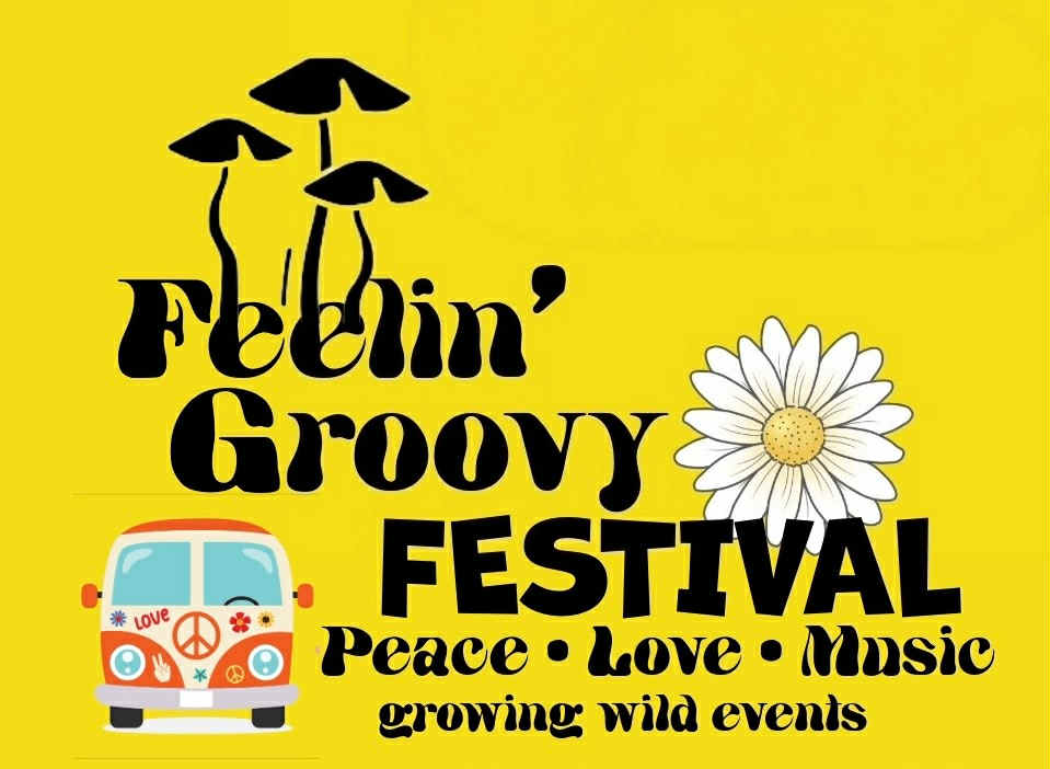 Feelin' Groovy Festival